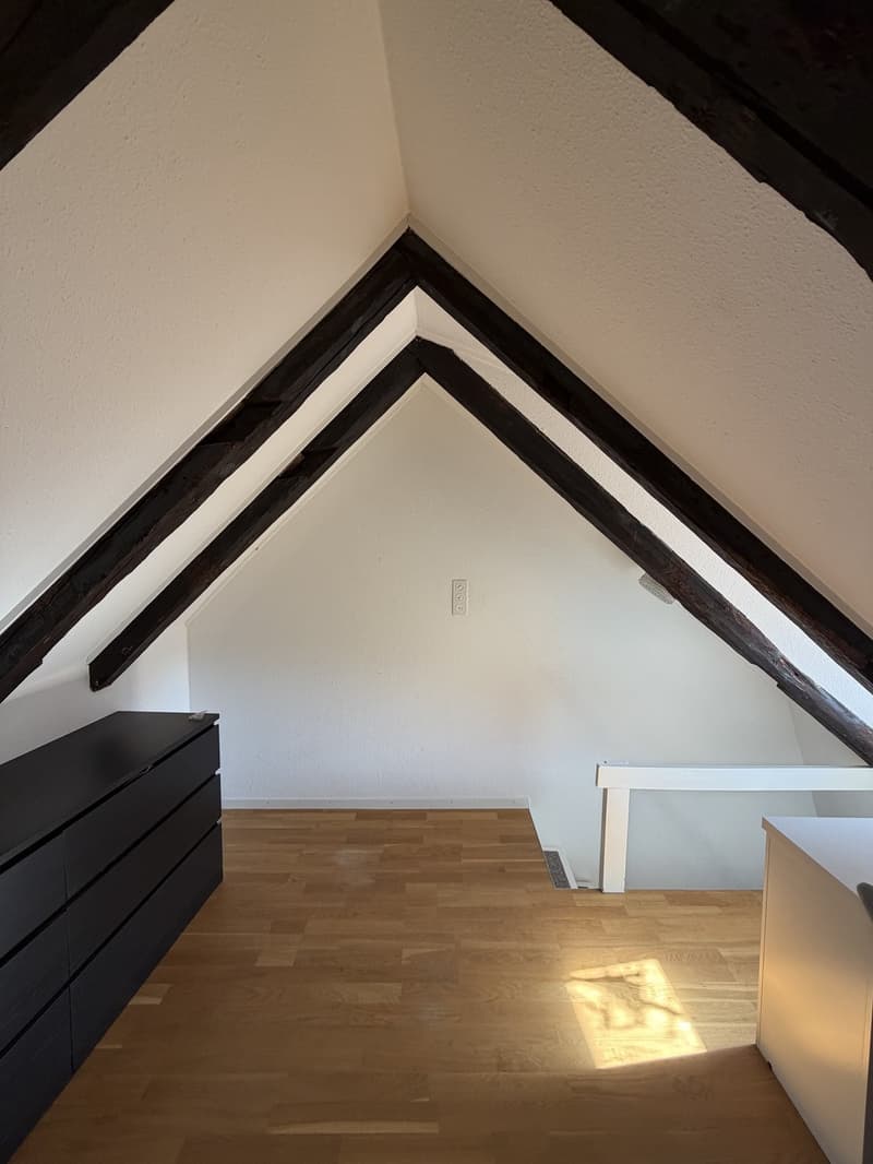 3 Zimmer-Wohnung, 9000 St.Gallen (9)