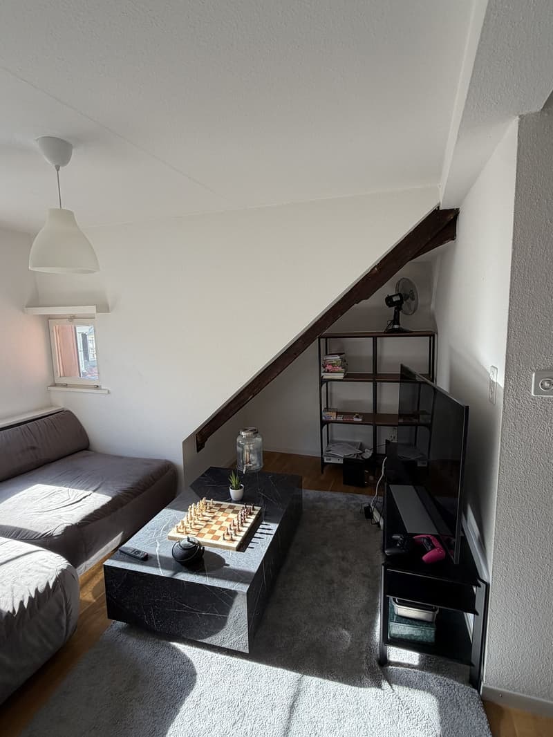 3 Zimmer-Wohnung, 9000 St.Gallen (1)