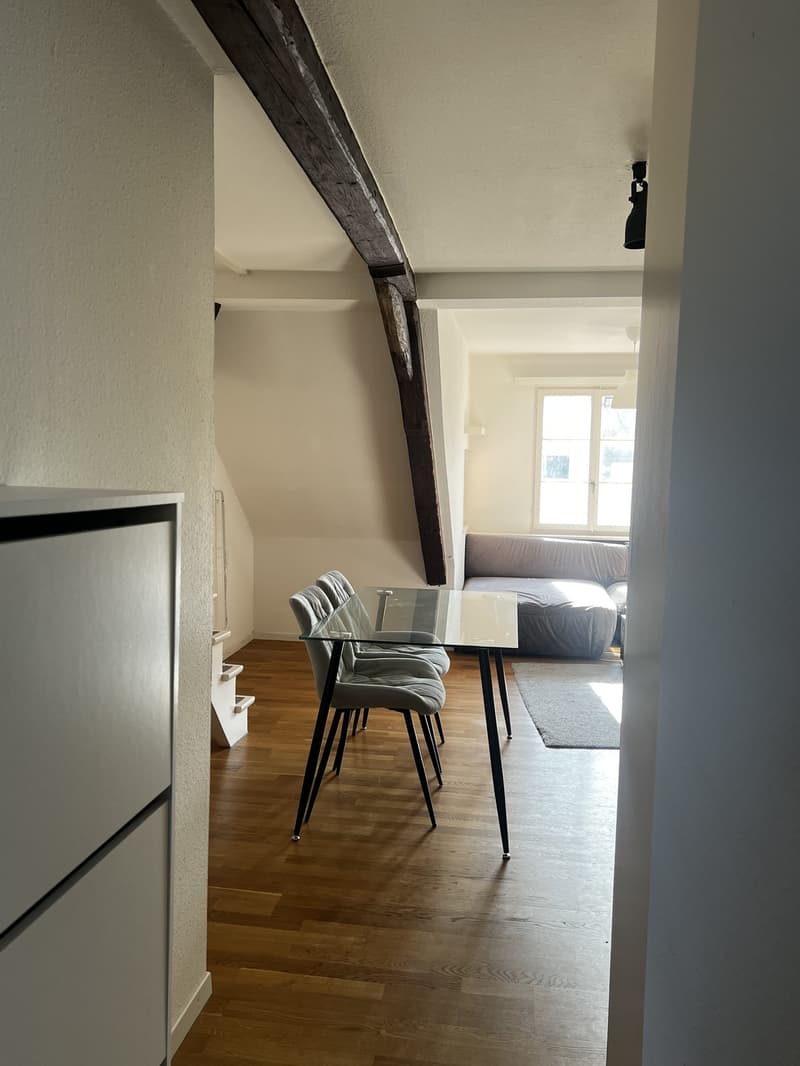 3 Zimmer-Wohnung, 9000 St.Gallen (5)