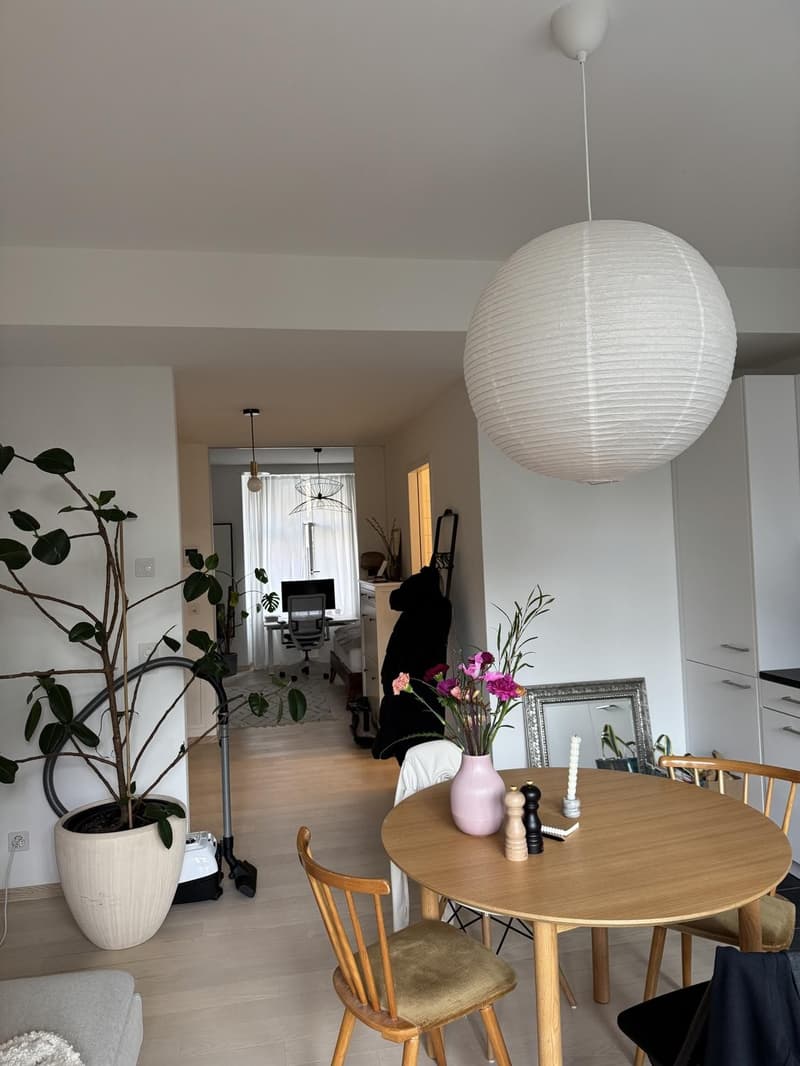 1.5-Zimmer-Altbauwohnung mit Balkon in Rheinnähe (3)