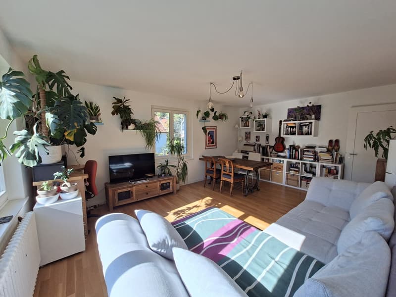 Helle 2,5-Zimmer-Wohnung am Fuße des Uetlibergs (3)