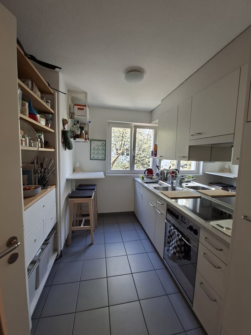Helle 2,5-Zimmer-Wohnung am Fuße des Uetlibergs (11)