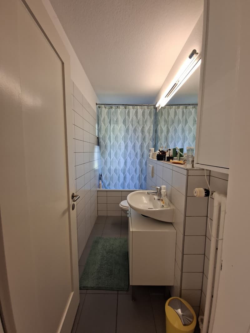 Helle 2,5-Zimmer-Wohnung am Fuße des Uetlibergs (9)