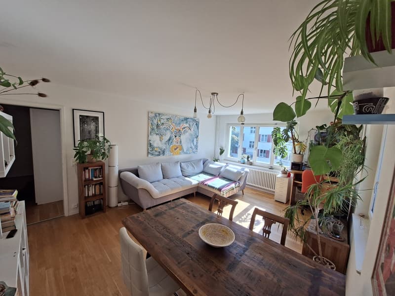 Helle 2,5-Zimmer-Wohnung am Fuße des Uetlibergs (2)