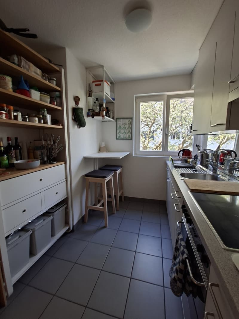 Helle 2,5-Zimmer-Wohnung am Fuße des Uetlibergs (10)