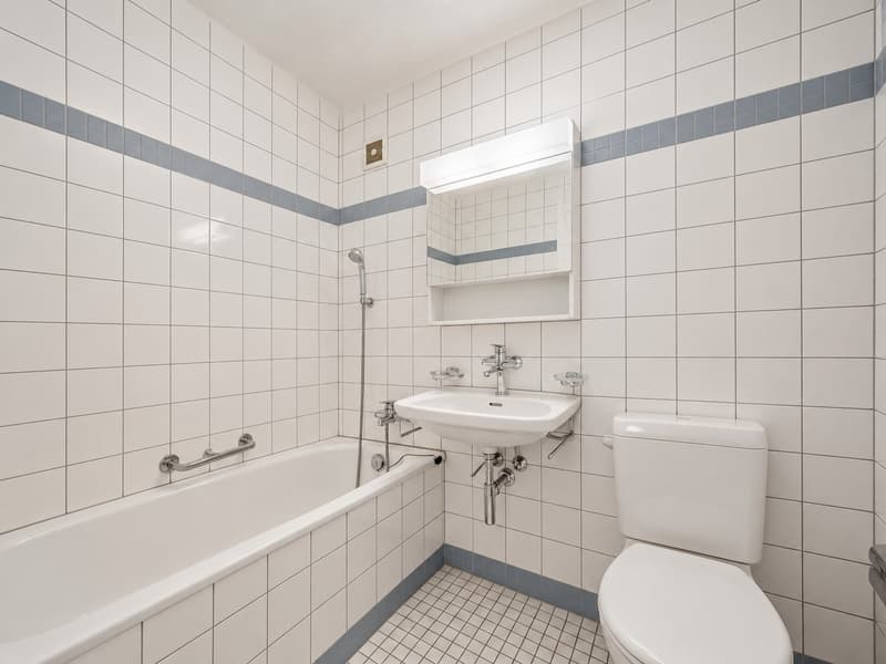 4½-Zimmer-Gartenwohnung in Steinhausen (6)