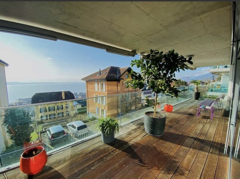 Sous-location Janvier 2027-Juin 2028 : 4.5 pièces avec terrasse et vue lac (2)