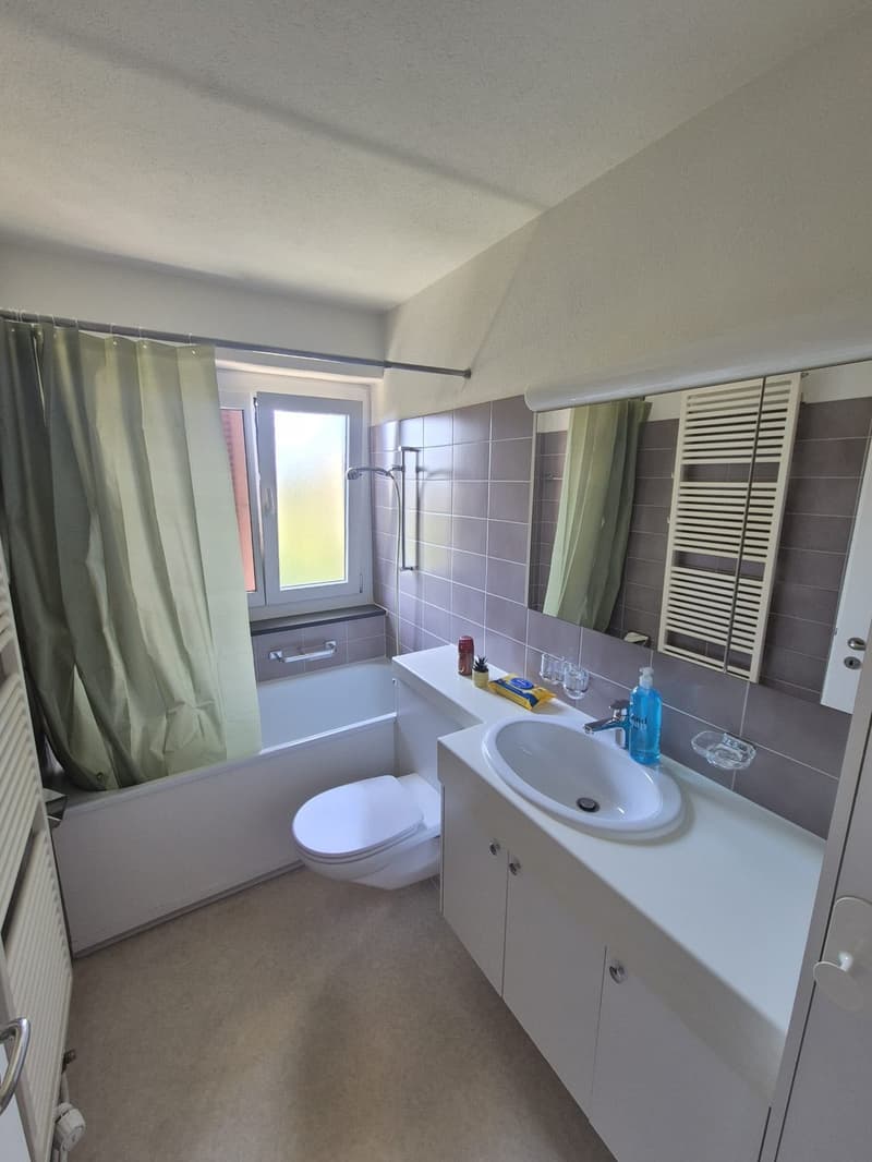 Room in 4-person shared apartment in Witikon (4)