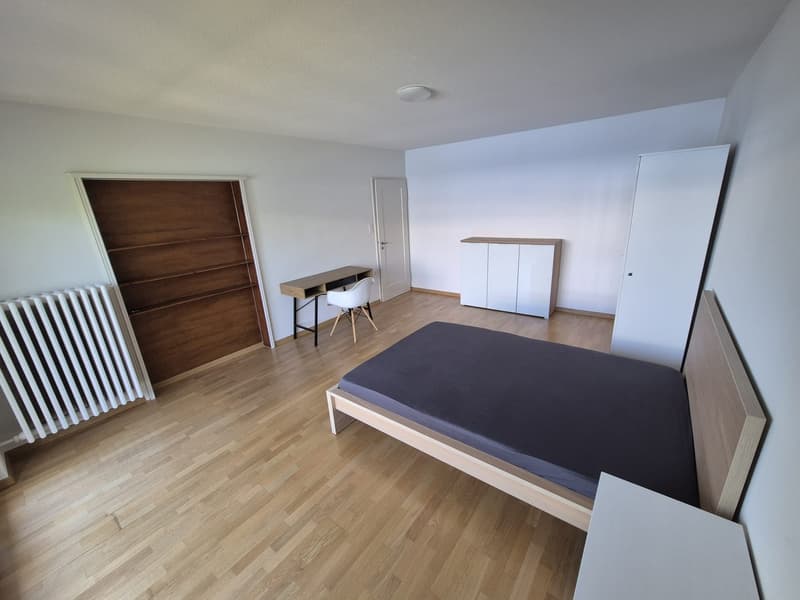 Room in 4-person shared apartment in Witikon (2)