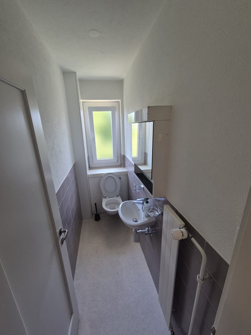 Room in 4-person shared apartment in Witikon (5)