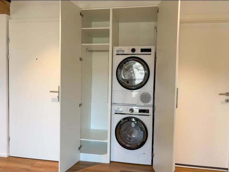 3.5 Zimmer Dachwohnung, Schönenberg TG - Hell & charmant - Dachwohnung mit Charakter (13)