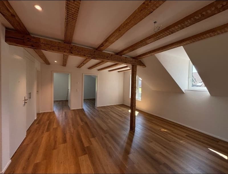 3.5 Zimmer Dachwohnung, Schönenberg TG - Hell & charmant - Dachwohnung mit Charakter (2)