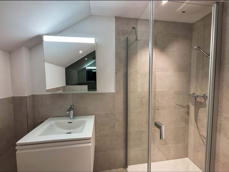 3.5 Zimmer Dachwohnung, Schönenberg TG - Hell & charmant - Dachwohnung mit Charakter (11)