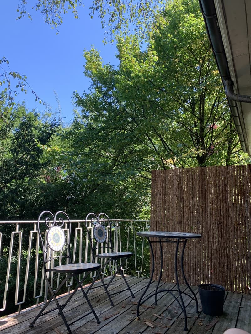 4 Zimmer-Wohnung, 5400 Baden (6)