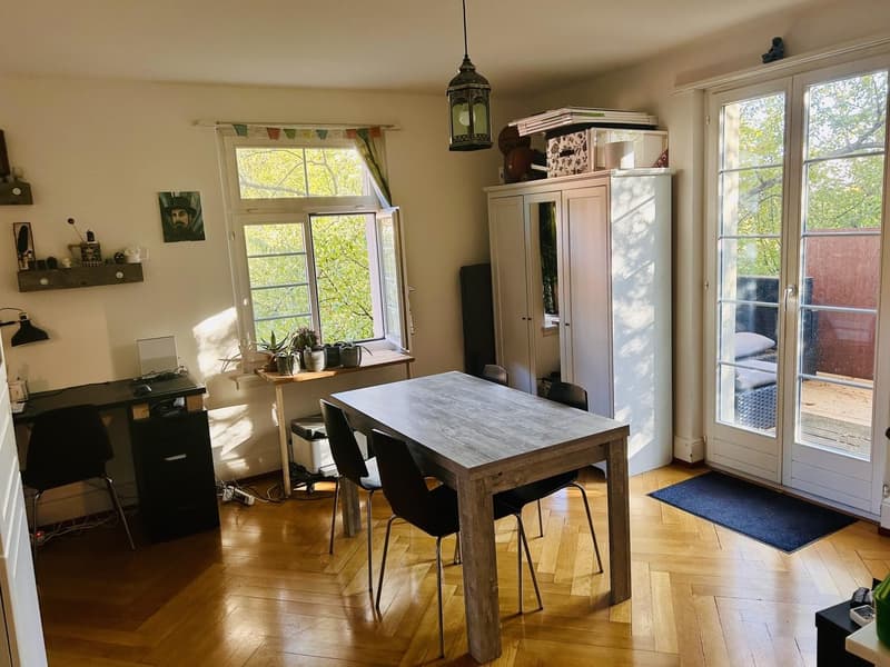 4 Zimmer-Wohnung, 5400 Baden (1)