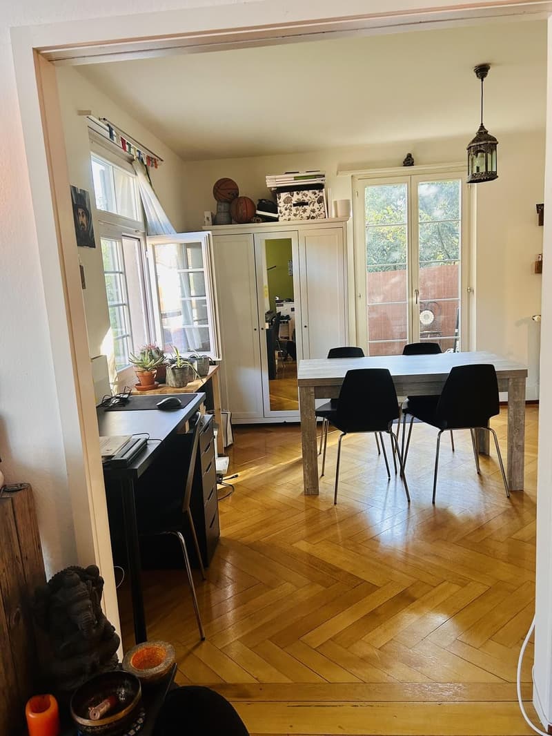 4 Zimmer-Wohnung, 5400 Baden (7)