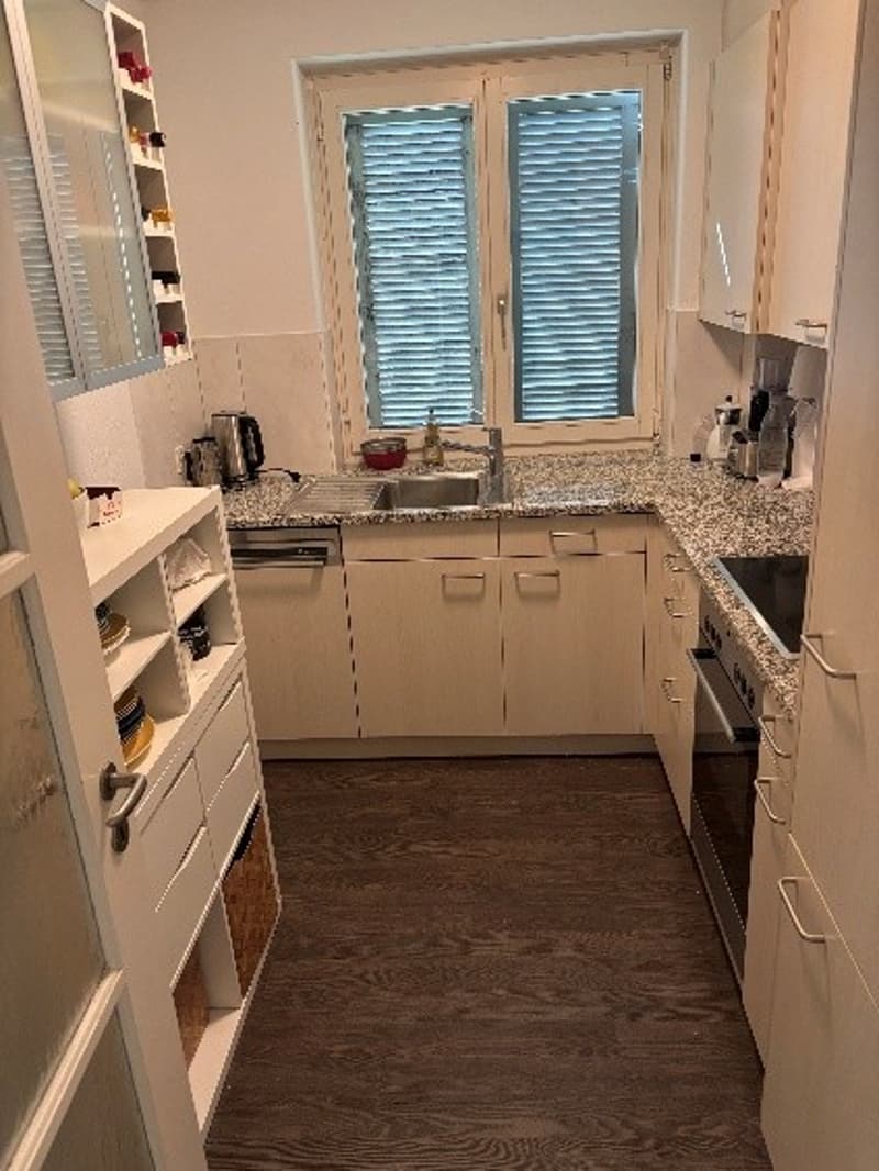 2 Zimmer-Wohnung, 8050 Zürich (3)