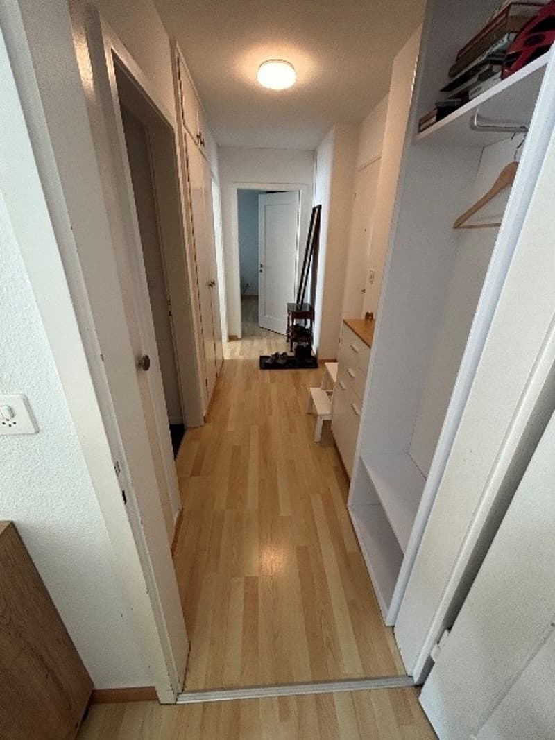 2 Zimmer-Wohnung, 8050 Zürich (5)