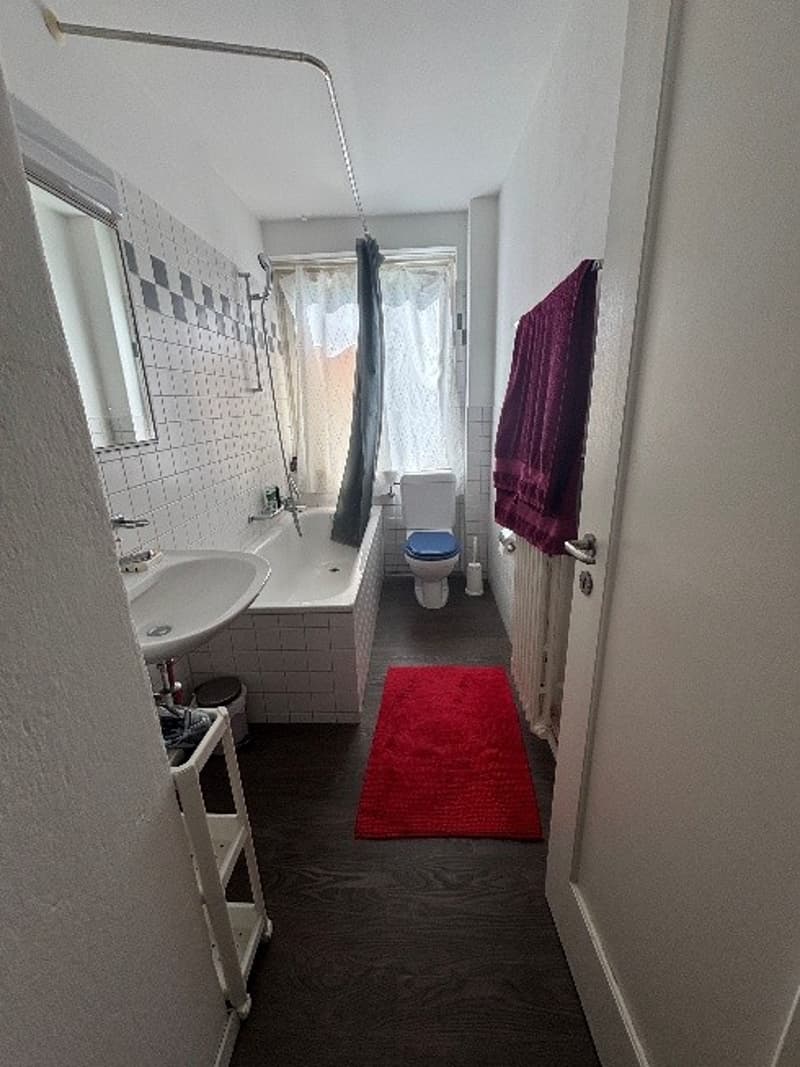 2 Zimmer-Wohnung, 8050 Zürich (4)