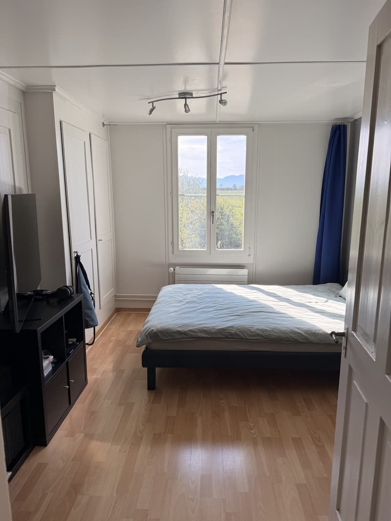 Charmante Altbauwohnung (11)
