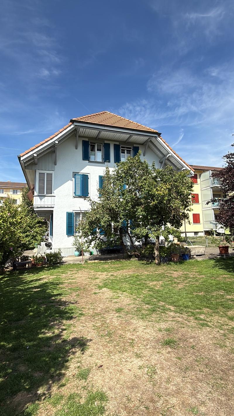 Charmante Altbauwohnung (2)