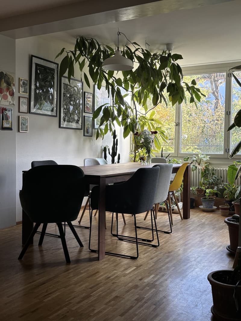 1 room for rent in WH (4)