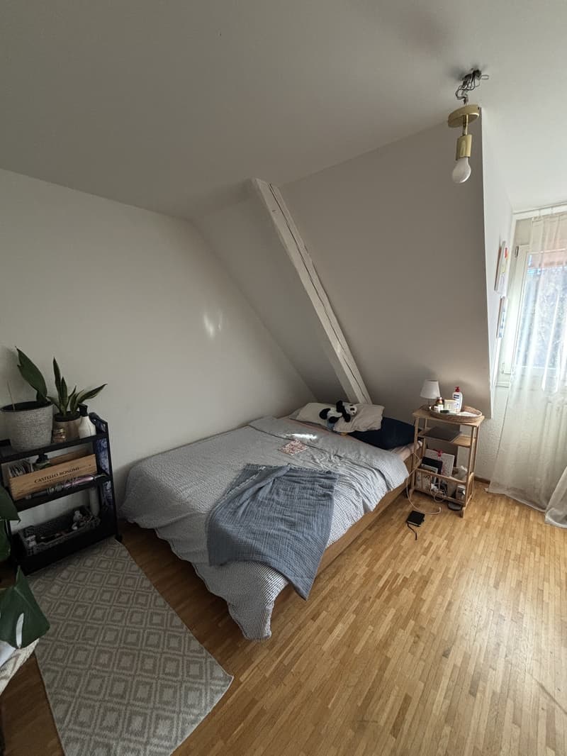 1 room for rent in WH (1)