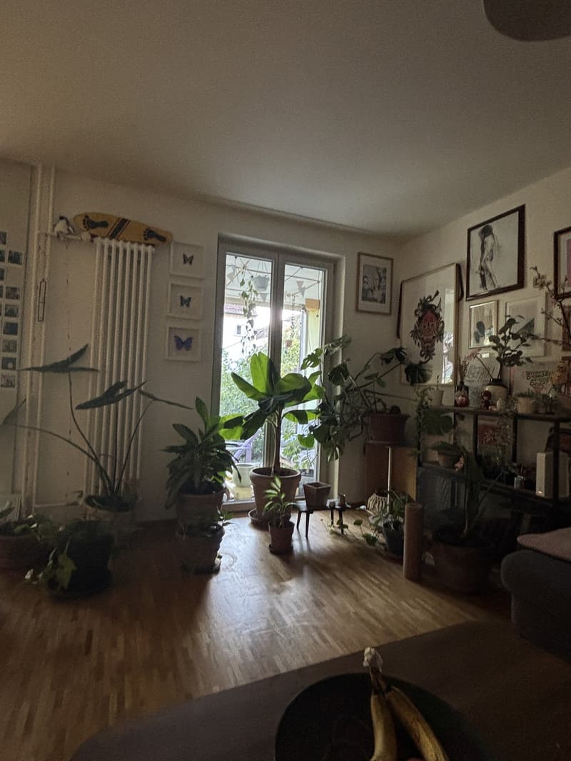1 room for rent in WH (5)