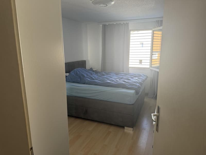 Suche Nachmieter für meine 2-1/2 Zimmer Wohnung (3)