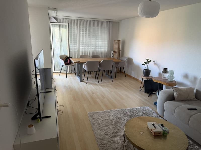Suche Nachmieter für meine 2-1/2 Zimmer Wohnung (4)