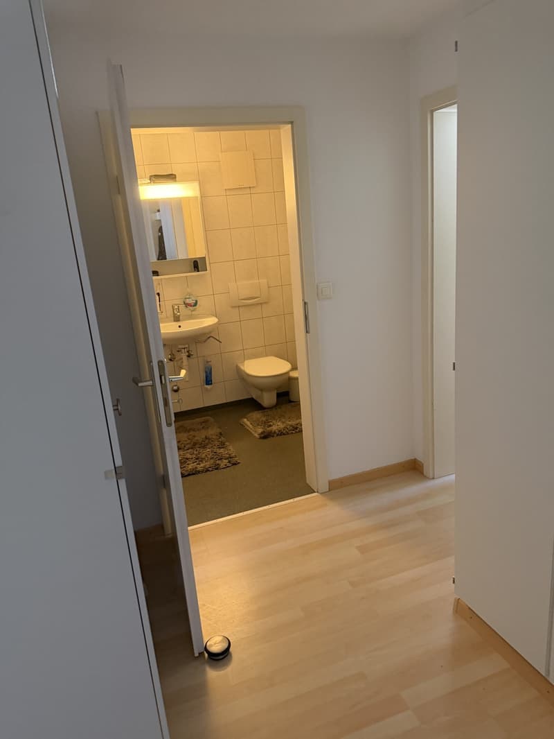 Suche Nachmieter für meine 2-1/2 Zimmer Wohnung (1)