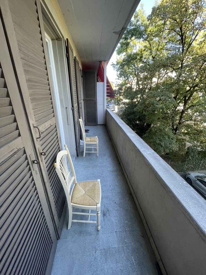 Joli appartement de 2,5 pièces au 2e étage à Servette (2)