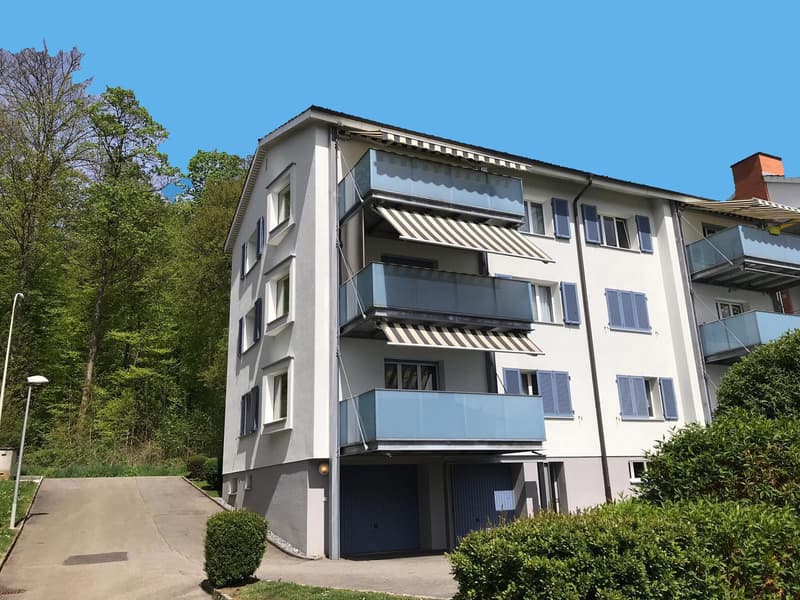 Schöne 3-Zimmer Wohnung (3)
