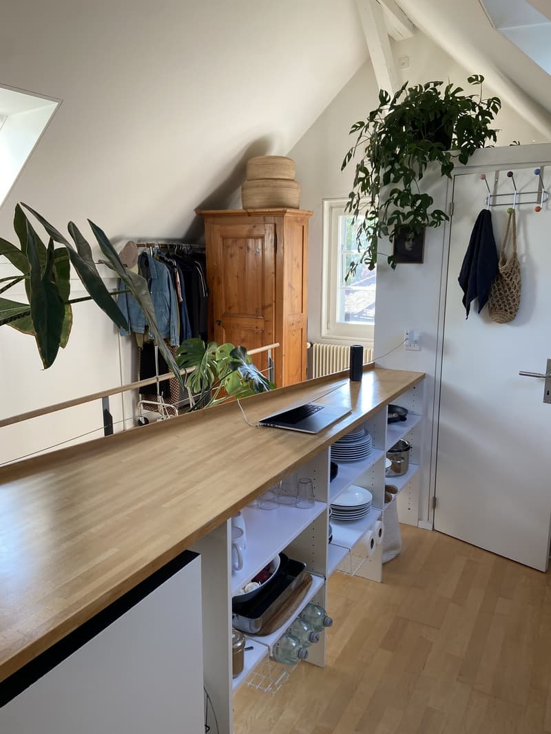 Loftartige Attikawohnung mit sonniger Dachterasse im Herzen vom Sulgenau BEFRISTET (6)
