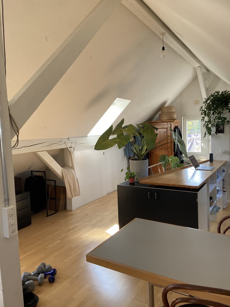 Loftartige Attikawohnung mit sonniger Dachterasse im Herzen vom Sulgenau BEFRISTET (2)