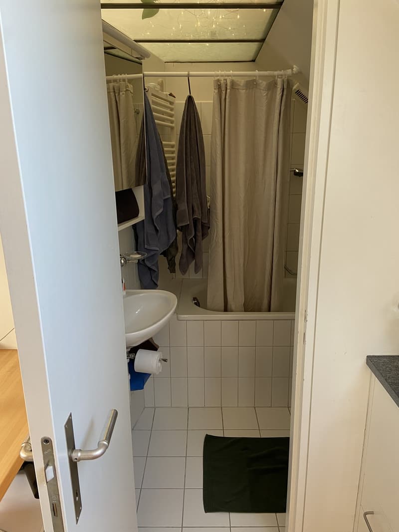 Loftartige Attikawohnung mit sonniger Dachterasse im Herzen vom Sulgenau BEFRISTET (12)