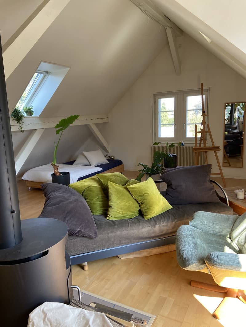 Loftartige Attikawohnung mit sonniger Dachterasse im Herzen vom Sulgenau BEFRISTET (9)