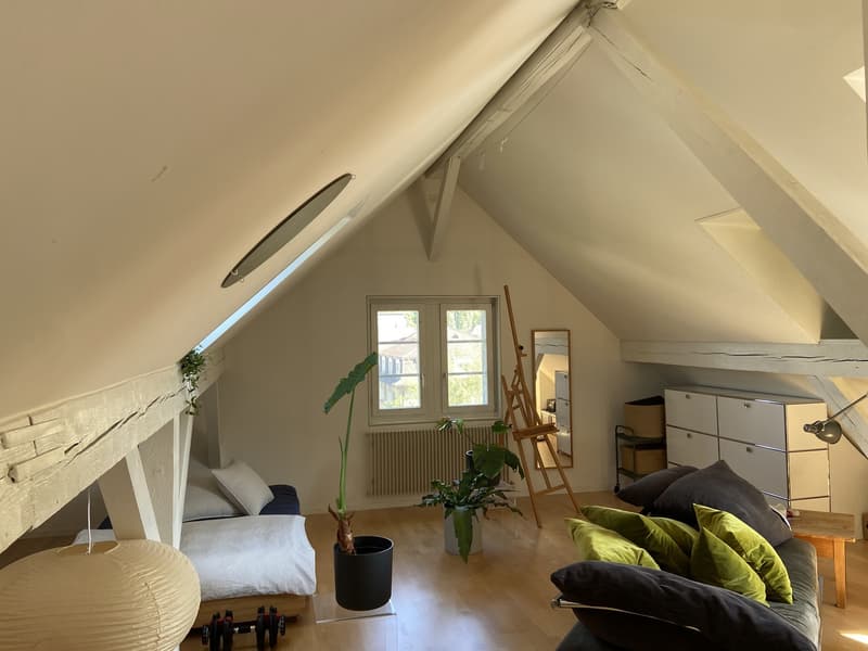 Loftartige Attikawohnung mit sonniger Dachterasse im Herzen vom Sulgenau BEFRISTET (5)