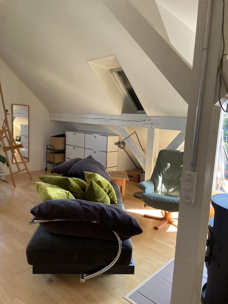 Loftartige Attikawohnung mit sonniger Dachterasse im Herzen vom Sulgenau BEFRISTET (8)