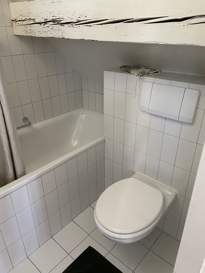 Loftartige Attikawohnung mit sonniger Dachterasse im Herzen vom Sulgenau BEFRISTET (10)