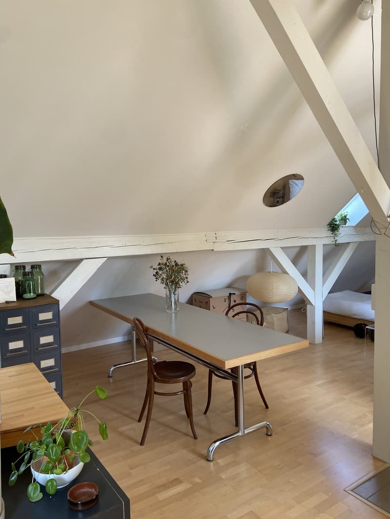 Loftartige Attikawohnung mit sonniger Dachterasse im Herzen vom Sulgenau BEFRISTET (7)