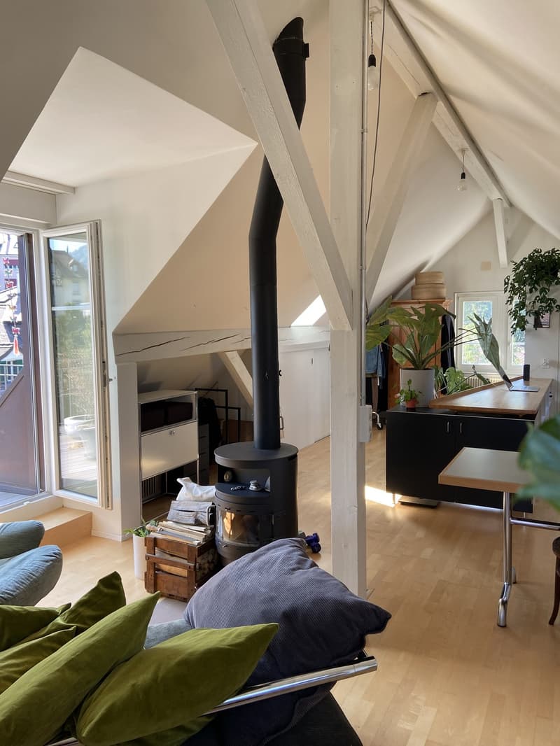 Loftartige Attikawohnung mit sonniger Dachterasse im Herzen vom Sulgenau BEFRISTET (1)