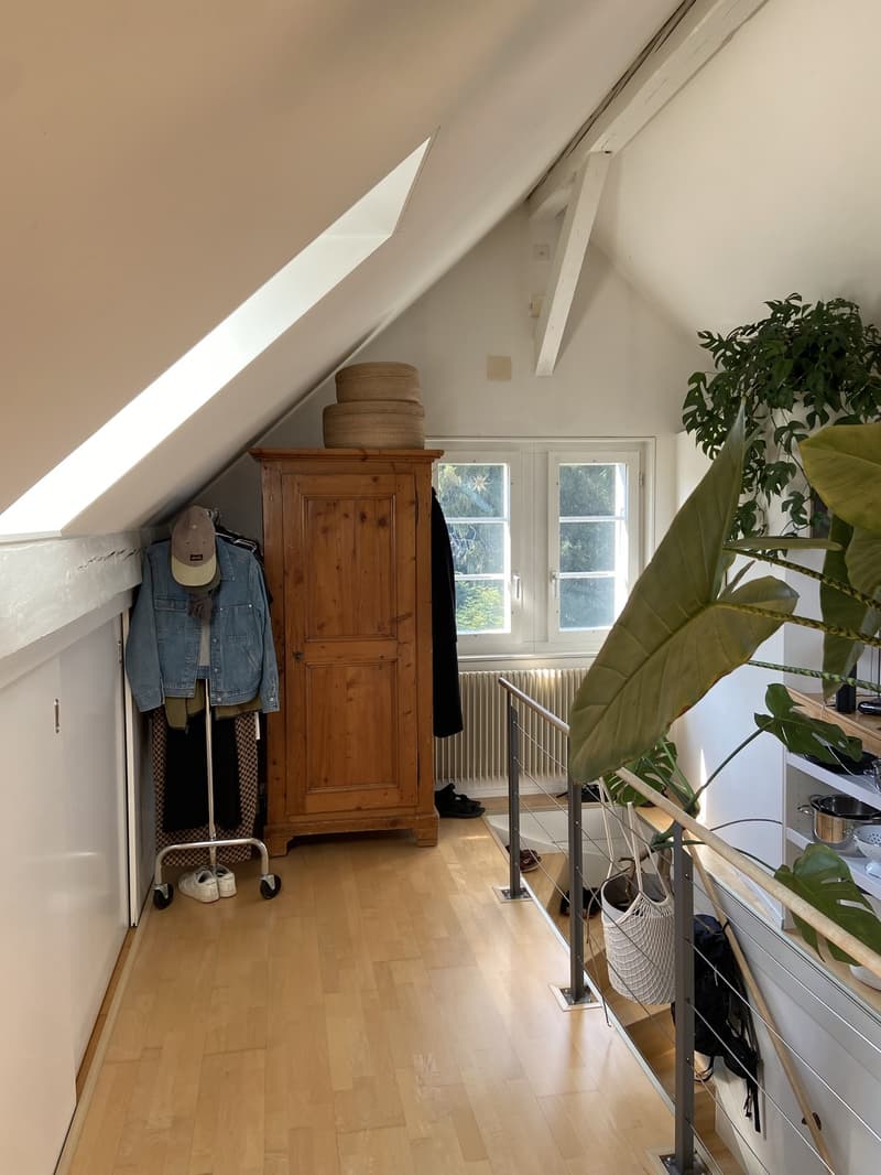 Loftartige Attikawohnung mit sonniger Dachterasse im Herzen vom Sulgenau BEFRISTET (3)