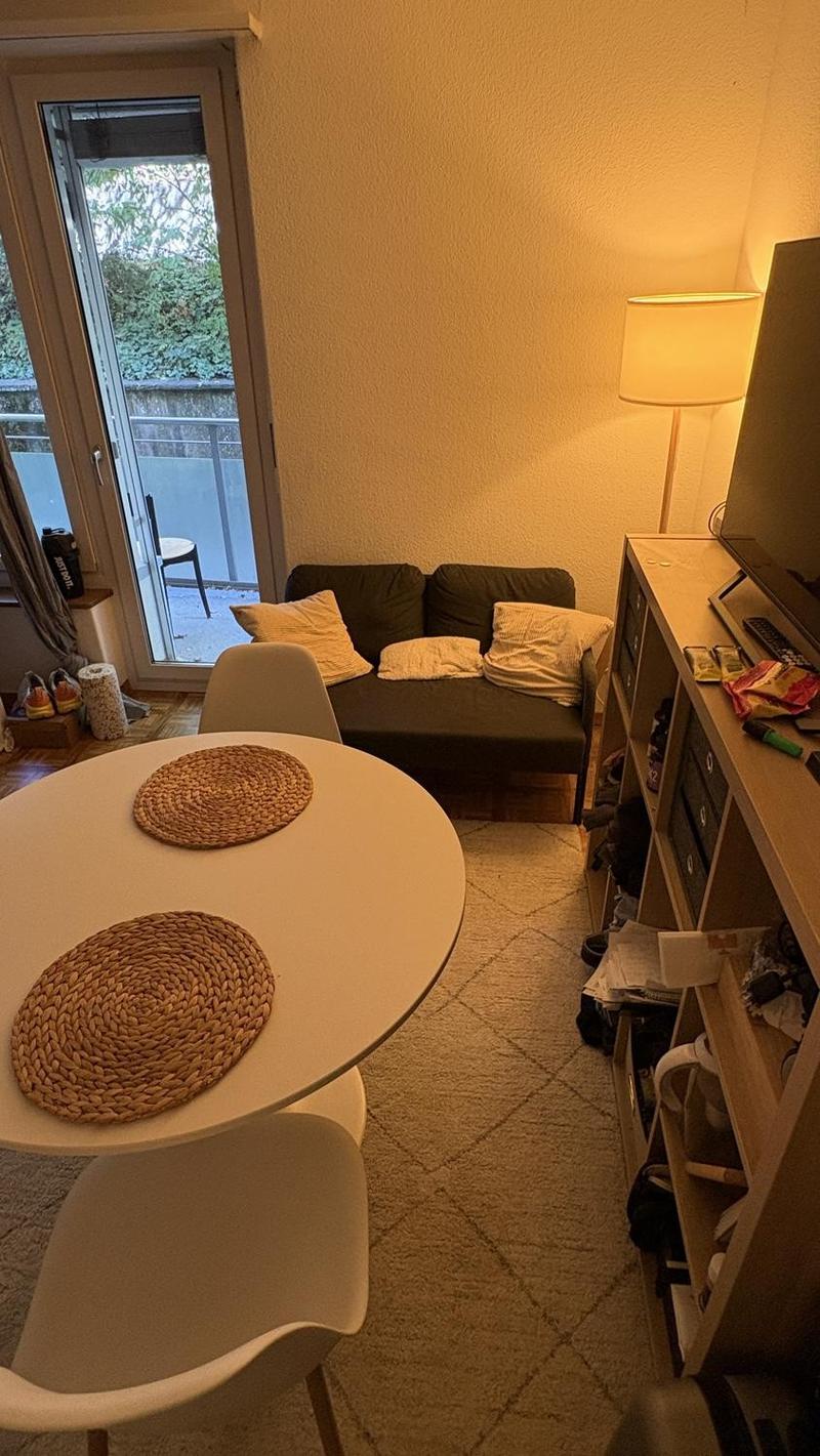 1-Zimmer Wohnung in Zürich (2)