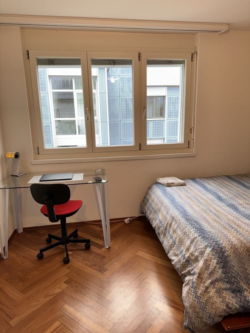 Rent room in a shared penthouse (7)