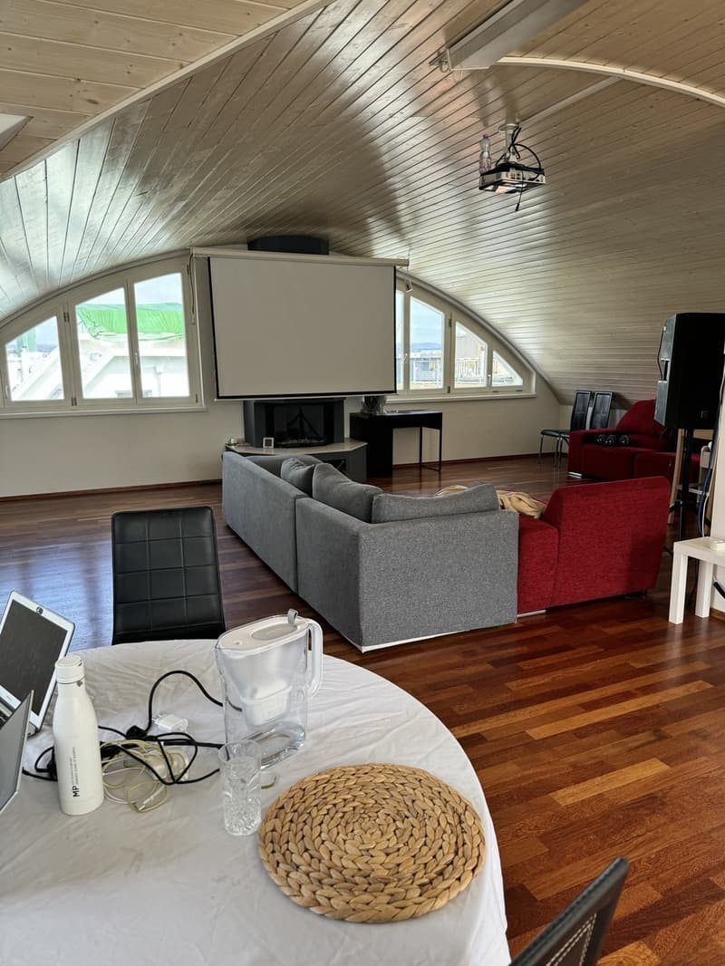 Rent room in a shared penthouse (10)