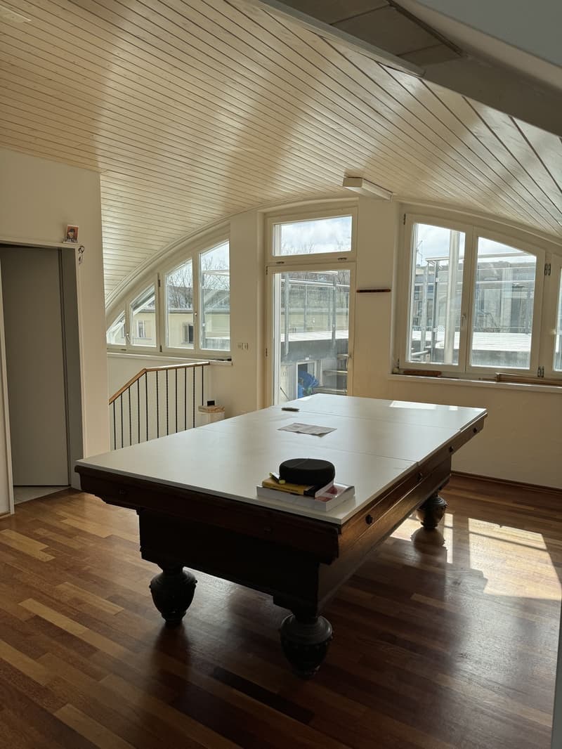 Rent room in a shared penthouse (11)