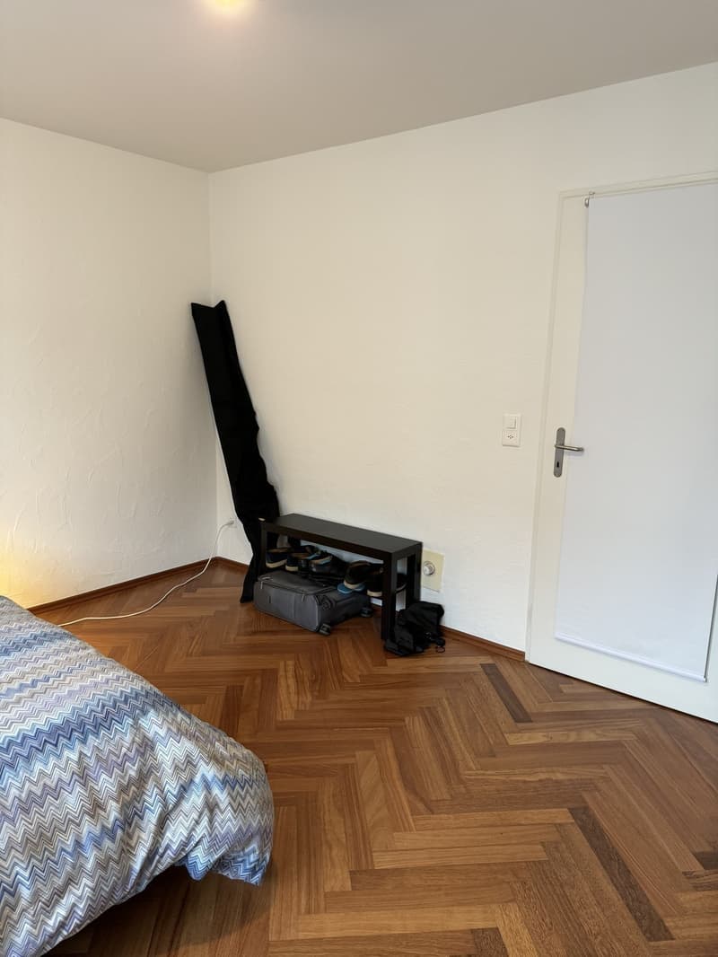 Rent room in a shared penthouse (9)