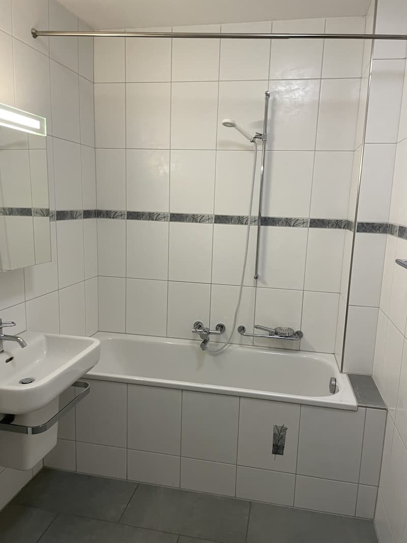 Helle 3.5-Zimmer-Wohnung im Kreis 6 ruhig und zentral (6)