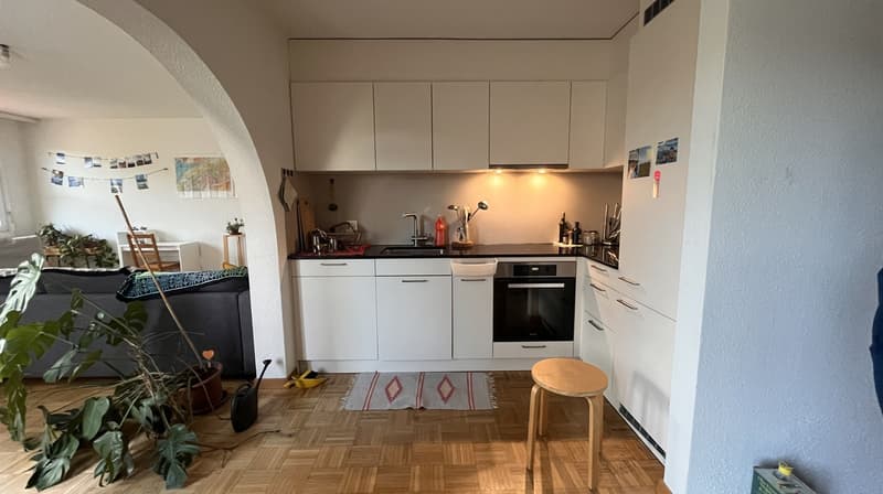 Nachmieter gesucht: 2-Zimmer-Wohnung mit Südterrasse, Birmensdorf / 2-room apartment with terrace (3)